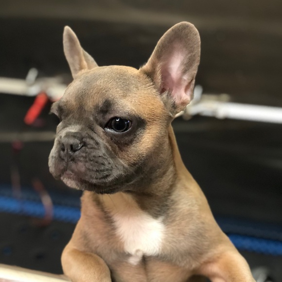 Meet your Posher, Kelly - Picture 1 of 1